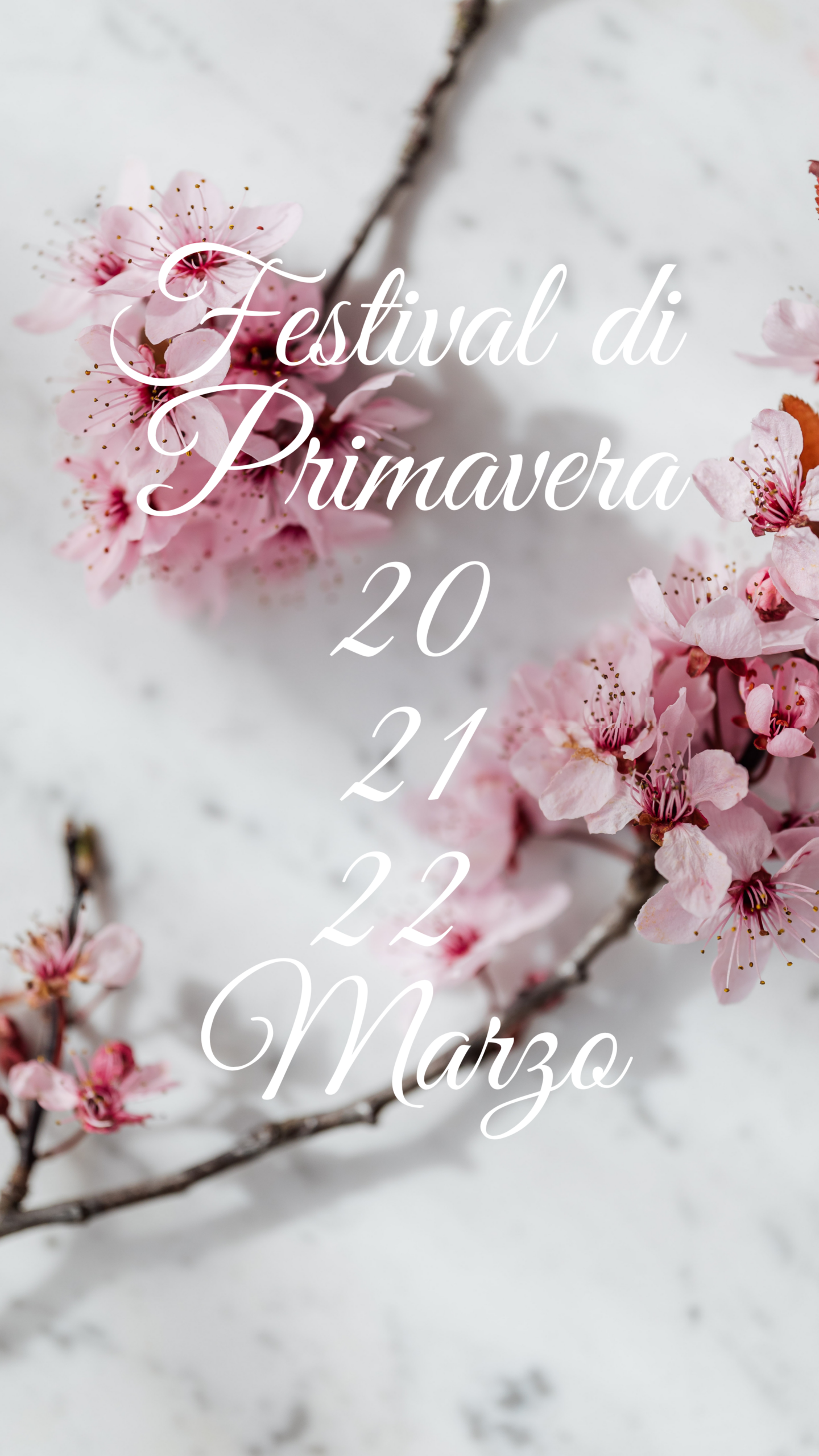 now ruz perugia 2026